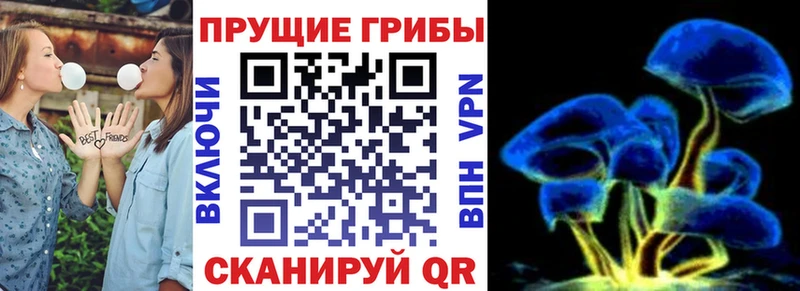 Купить  Микунь  Псилоцибиновые грибы мухоморы 